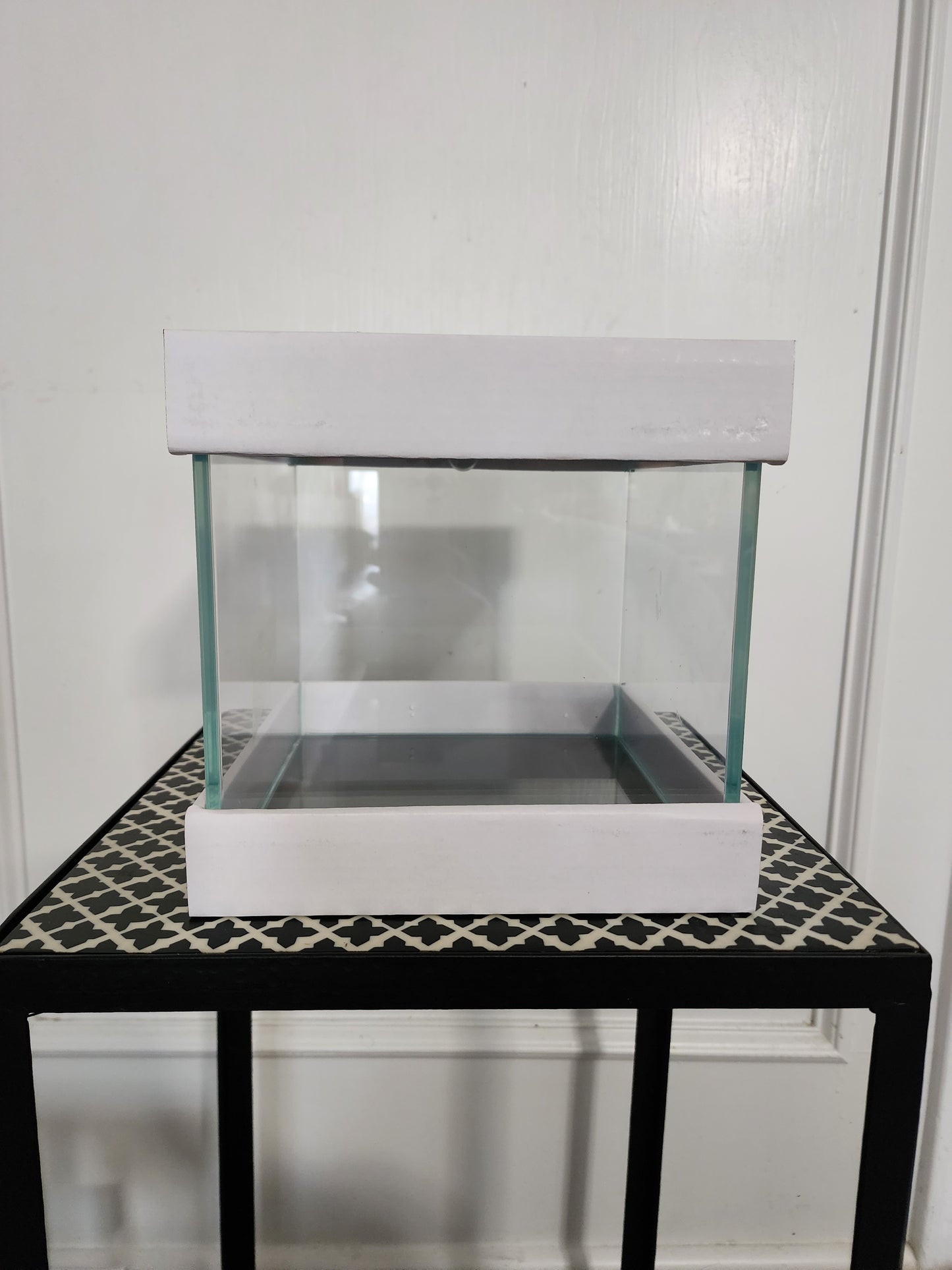 Custom Rimless Betta Tanks