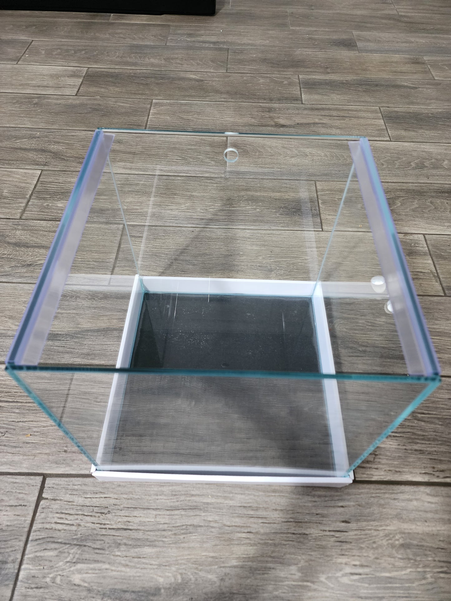 Custom Rimless Betta Tanks