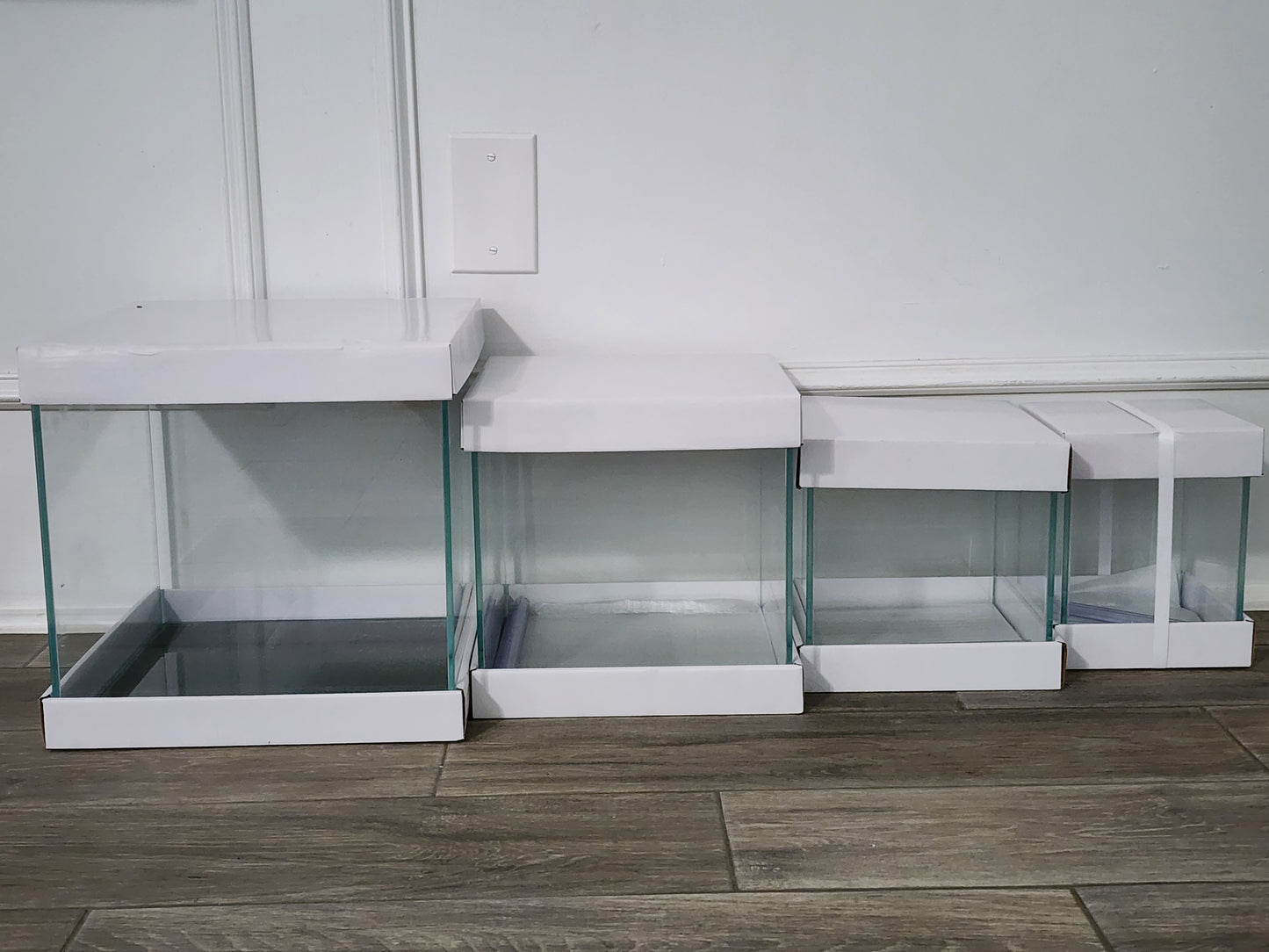 Custom Rimless Betta Tanks