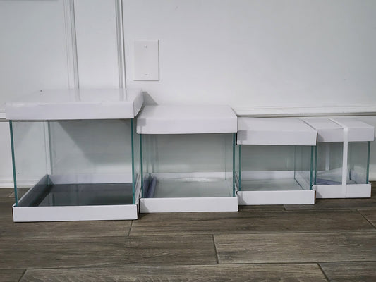 Custom Rimless Betta Tanks